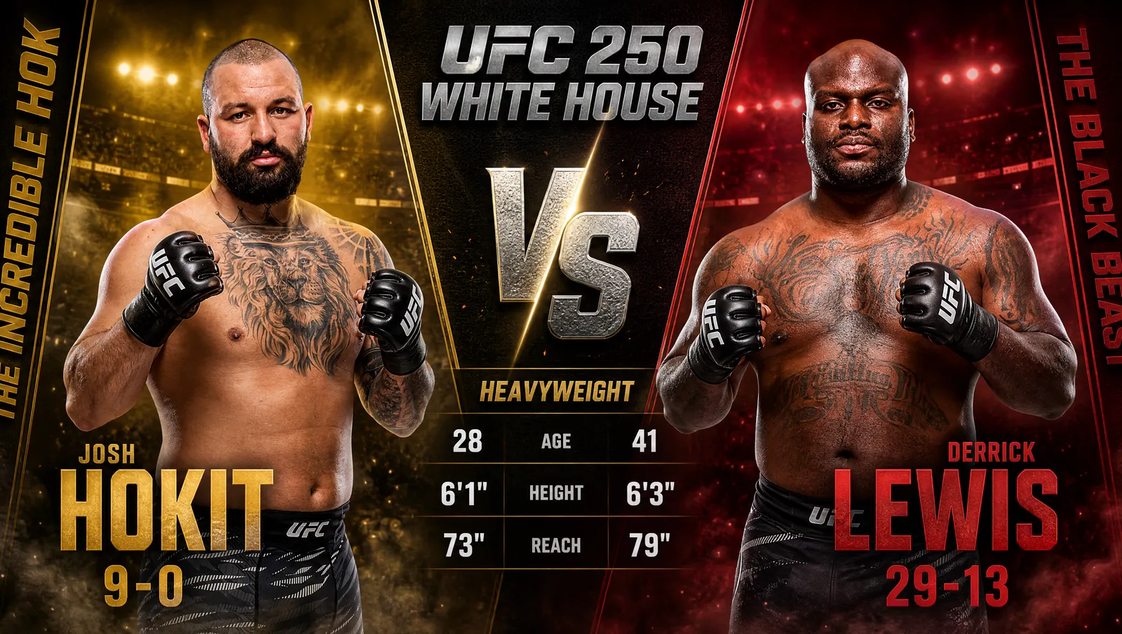 Matchup Josh Hokit gegen Derrick Lewis im Schwergewicht (stilisierte Darstellung)