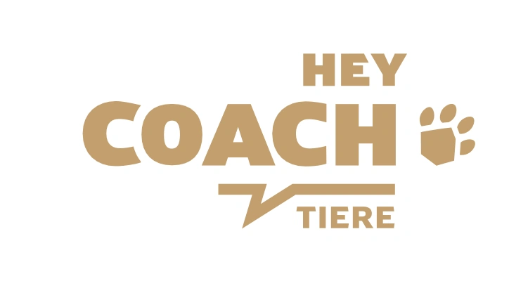 Hey Coach Tiere